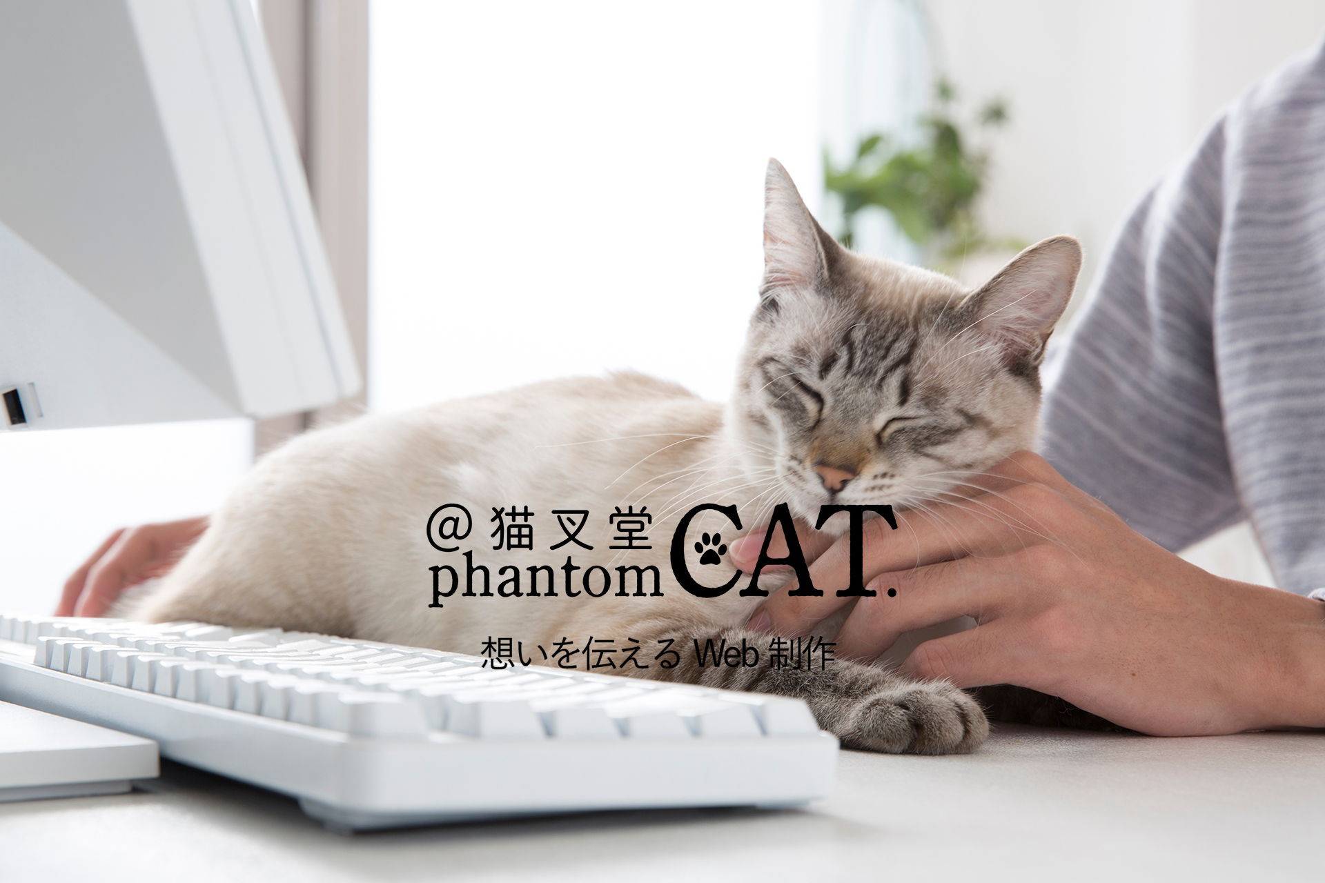 【phantomCAT＠猫叉堂】